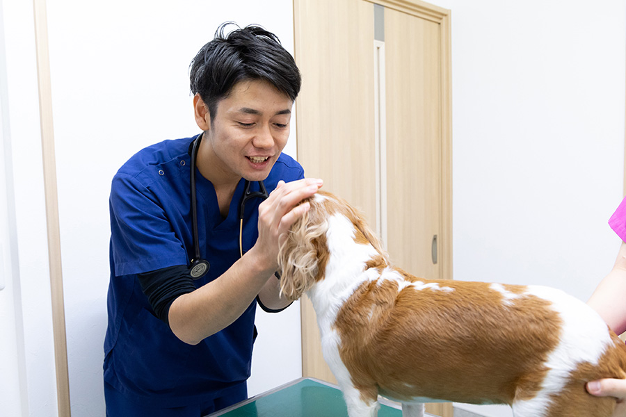 空港通りの動物病院の院長が犬にっ笑いかけている写真