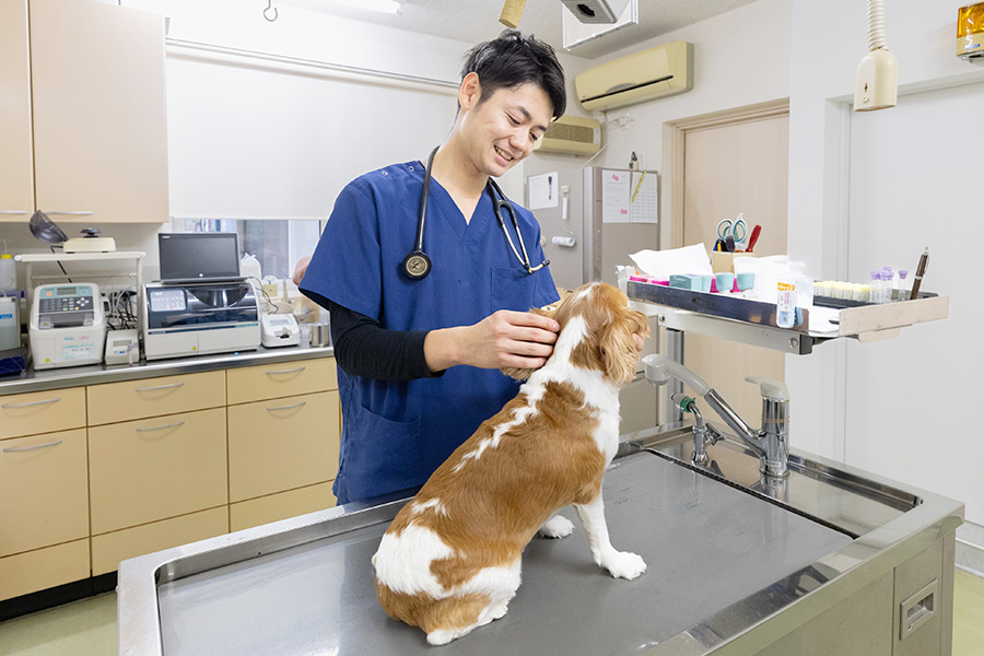 空港通りの動物病院の院長が犬の様子を見てほほ笑んでいる写真