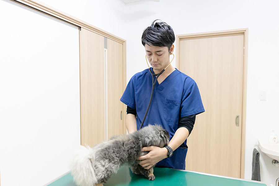 犬に聴診器をあてる空港通りの動物病院の院長の写真